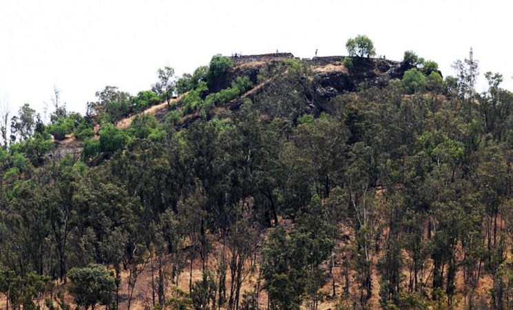 Zona Arqueológica Cerro de la Estrella